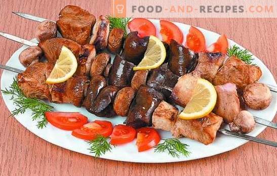 Türkei Kebab: Rezepte für zartes Fleisch. Geheimnisse der Marinade für Truthahnspiesse: scharf, schnell, Kefir, Wein