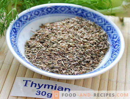 Thymian - Beschreibung, Eigenschaften, Verwendung beim Kochen. Rezepte mit Thymian.