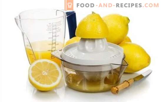 Zitronensaft herstellen - Rezepte mit einem göttlichen Geschmack! Zitronensaft: Rezepte von alkoholischen und alkoholfreien Getränken damit