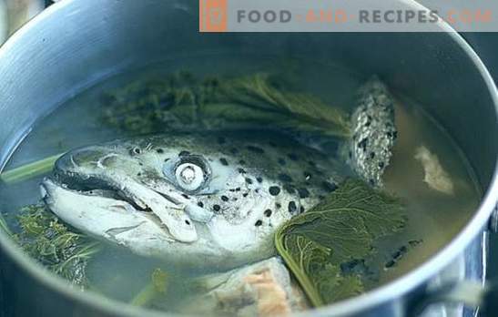 Fischkopfsuppe - Rezepte und kochende Feinheiten. Suppen aus Fischköpfen mit Reis, Hirse, Gemüse