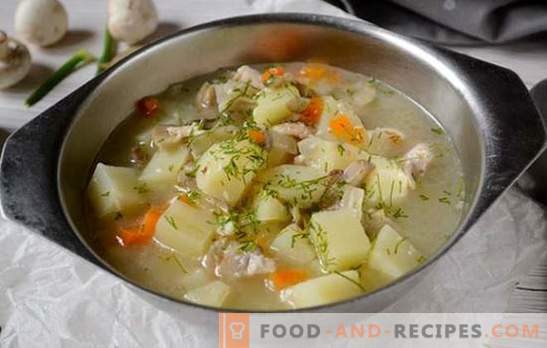 Pilzsuppe mit Hühnchen und Schmelzkäse: eine schöne und gesunde Vorspeise. Fotorezept für Suppe mit Hähnchen und Schmelzkäse: Schritt für Schritt